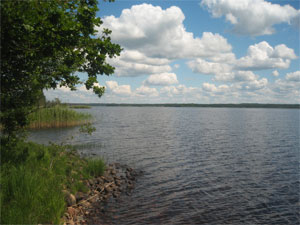 Insjöfiske